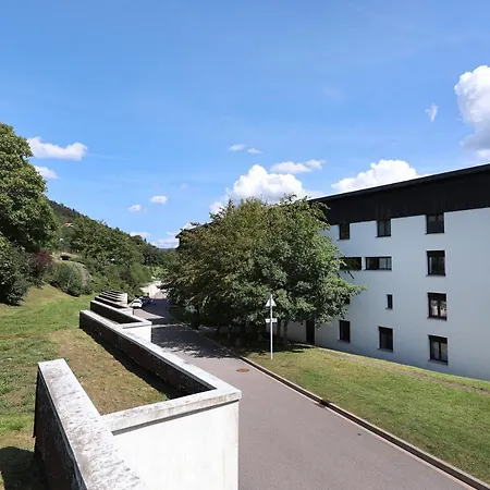 Les Xettes - Appartement Vue Montagne Gérardmer Buitenkant foto